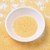 MIYUKI Delica Beads SEED-MY11-DB0233-2