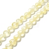 Transparent Glass Beads Strand GLAA-F112-01D-2