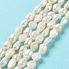 Natural Keshi Pearl Beads Strands PEAR-Z002-19-2