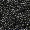 MIYUKI Round Rocailles Beads SEED-JP0009-RR2447-3