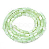 Natural Trochid Shell/Trochus Shell Beads Strands X-SHEL-N003-26-B08-2