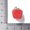 Resin Iron Pendants RESI-D280-05-3