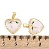 Natural White Shell Pendants KK-D005-04A-G-3