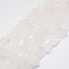 Raw Rough Natural Quartz Crystal Beads Strands G-F403-11-1