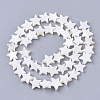 Freshwater Shell Beads Strands SHEL-T014-009G-2