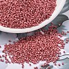MIYUKI Delica Beads X-SEED-J020-DB1841F-1
