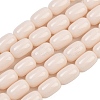 Opaque Glass Beads Strands GLAA-Z015-02H-1