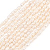 Natural Cultured Freshwater Pearl Beads Strands PEAR-D003-01D-04-2