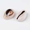 Natural Cowrie Shell Beads BSHE-S053-2