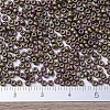 MIYUKI Round Rocailles Beads X-SEED-G007-RR2035-4