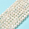 Natural Cultured Freshwater Pearl Beads Strands PEAR-E017-15-2