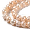 Natural Cultured Freshwater Pearl Beads Strands PEAR-E018-26-3