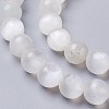 Natural Selenite Beads Strands G-I203-C-10mm-3