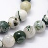 Natural Tree Agate Beads Strands G-I199-03-4mm-3