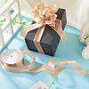 1 Roll Transparent Polyester Ribbon OCOR-TA0002-34E-6