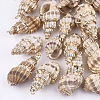 Electroplate Spiral Shell Pendants SSHEL-S262-24-1