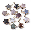 Natural & Synthetic Mixed Gemstone Pendants G-N326-36-1