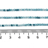 Transparent Glass Beads Strands GLAA-H027-01E-5