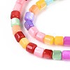 Dyed Natural Freshwater Shell Beads Strands SHEL-T020-56A-3