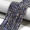 Natural Tanzanite Beads Strands G-G161-B14-01-2