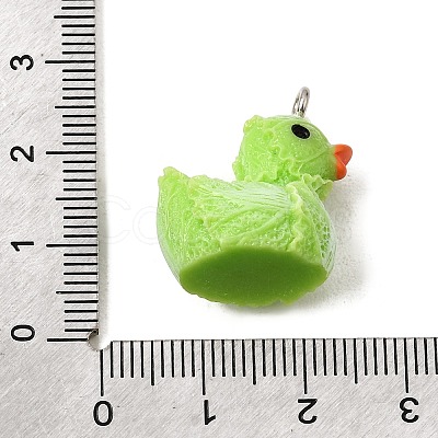 Vegetable Theme Opaque Resin Pendants RE-CBAD0A2-03B-P-1