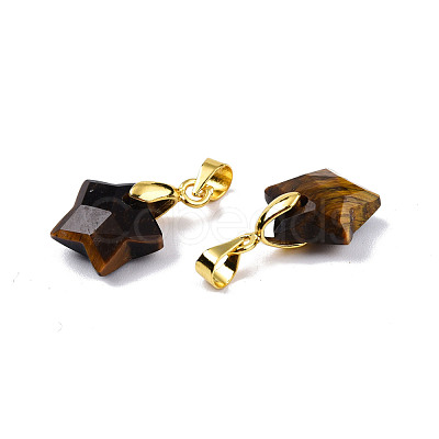 Natural Tiger Eye Charms G-N326-142-01-1