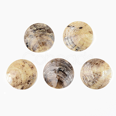 Mother of Pearl Buttons SSHEL-R048-021-1