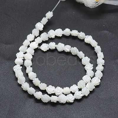Natural White Shell Beads Strands SSHEL-P015-01A-6mm-1