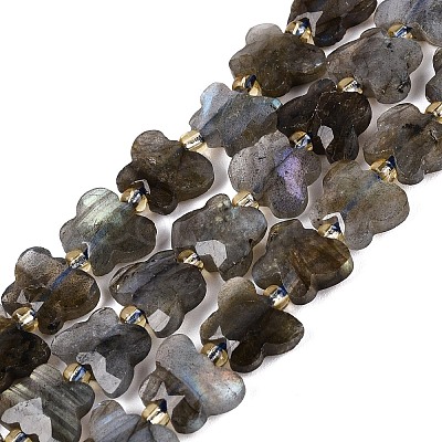 Natural Labradorite Beads Strands G-N371-10A-01-1