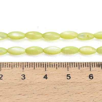 Natural Freshwater Shell Beads Strands X-SHEL-C010-01D-1