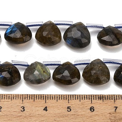 Natural Labradorite Beads Strands G-C292-A09-01-1