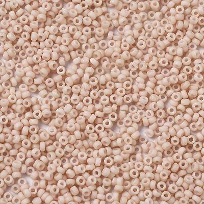 MIYUKI Round Rocailles Beads X-SEED-G009-RR2023-1