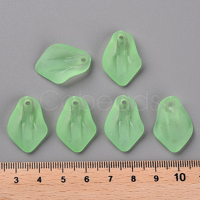 Transparent Frosted Acrylic Pendants MACR-S371-03A-733-1
