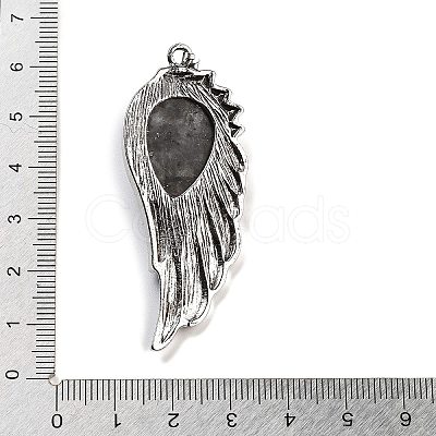 Natural Larvikite Big Pendants G-G112-02AS-06-1