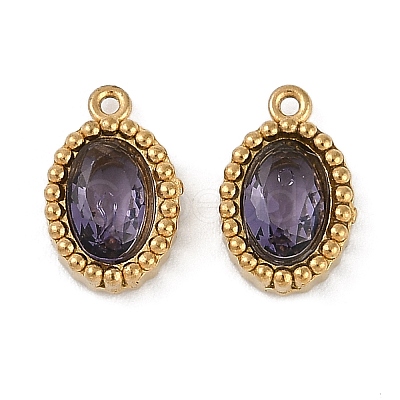 Ion Plating(IP) 304 Stainless Steel Micro Pave Cubic Zirconia Charms X-STAS-K256-19G-1
