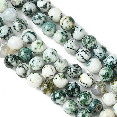 Natural Tree Agate Beads Strands G-K194-8mm-02-1