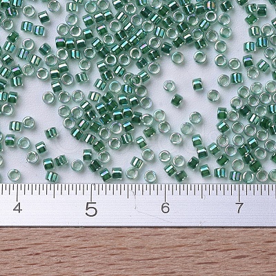 MIYUKI Delica Beads SEED-J020-DB0060-1