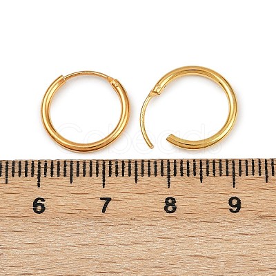 925 Sterling Silver Hoop Earrings STER-B008-01B-G-1