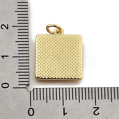 Brass Enamel Pendants KK-Z104-06G-04-1