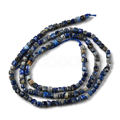 Natural Lapis Lazuli Beads Strands G-C052-05A-1