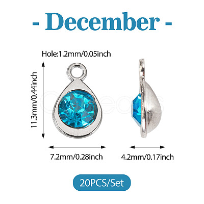 20Pcs Faceted Glass Charms RGLA-TADJ0001-01J-1