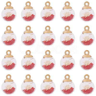 20Pcs Transparent Glass Globe Pendants GLAA-TA0003-57B-1