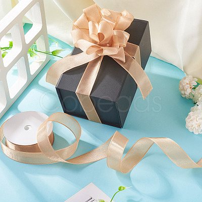 1 Roll Transparent Polyester Ribbon OCOR-TA0002-34E-1