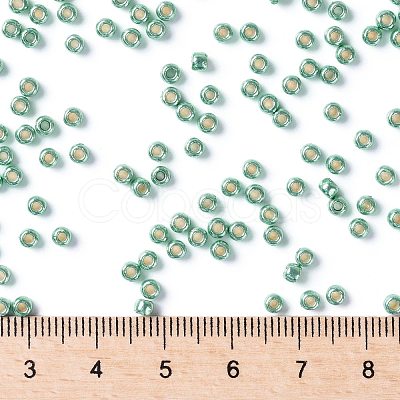 TOHO Round Seed Beads X-SEED-TR08-PF0561-1
