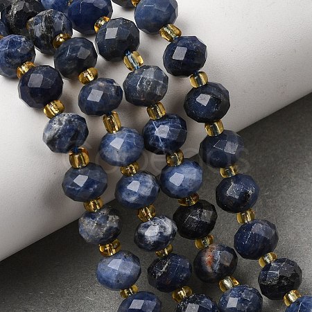 Natural Sodalite Beads Strands G-D105-B09-01-1