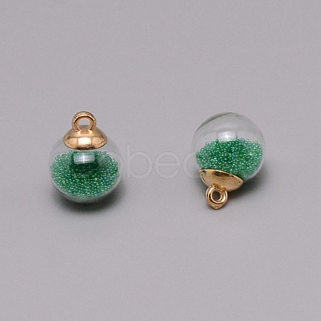 Transparent Glass Globe Pendant GLAA-WH0027-1