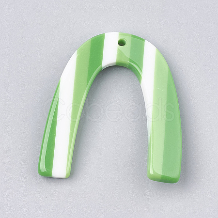 Resin Pendants CRES-T008-38F-1
