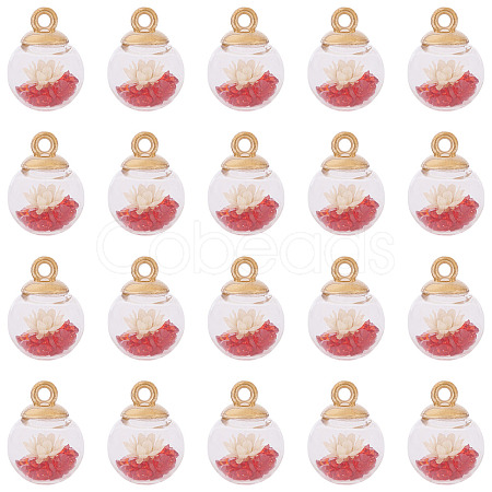 20Pcs Transparent Glass Globe Pendants GLAA-TA0003-57B-1