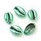 Electroplated Shell Beads, Cowrie Shell, Spring Green, 18~20x11.5~13x6~6.5mm, Hole: 2mm