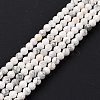 Natural Howlite Beads Strands G-H273-02B-2